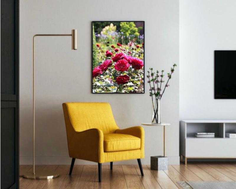 roses flowers poster