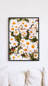 Happy Daisies Print