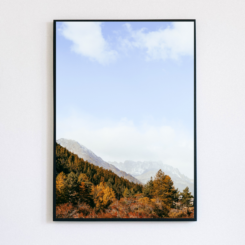 Autumn Forest Print